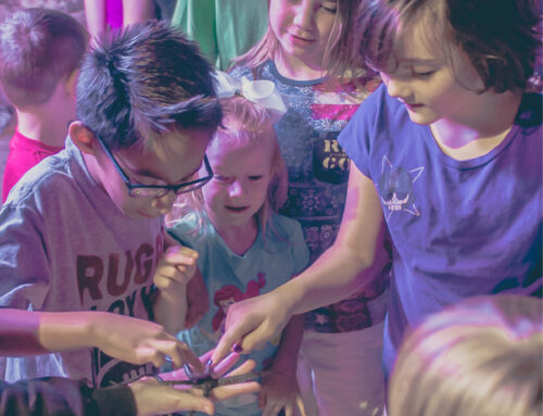 Best Field Trips for Students in Houston