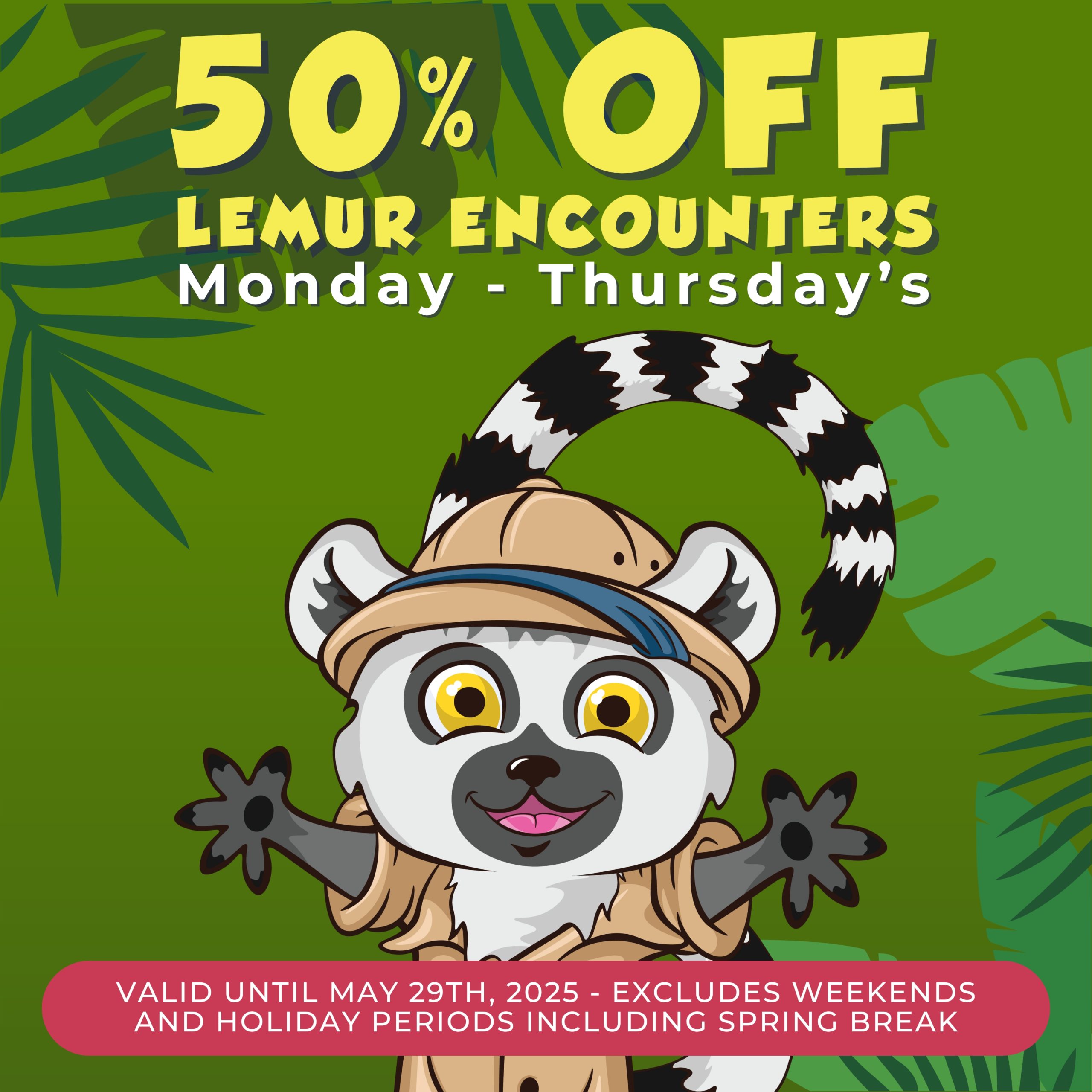 50% Off Lemur Encounters - Monday thru Thursdays, excluding holiday periods and Spring Break until May 29, 2025